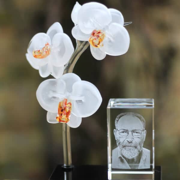Orchidee tak van glas