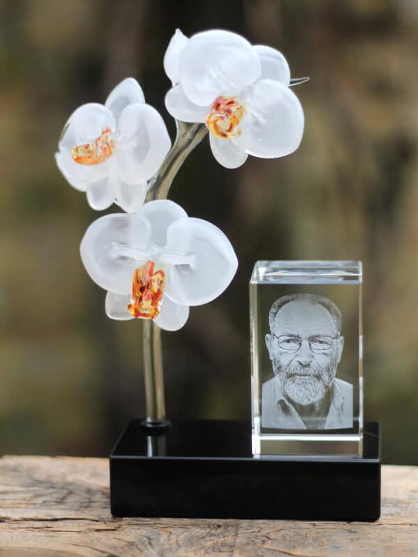 Bestrooi Attent besluiten Glazen orchidee-tak | Glasblazerij het Quakeltje