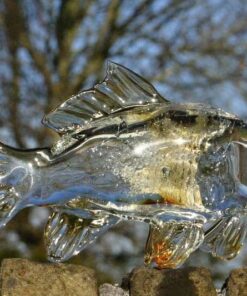 Karper van glas met as